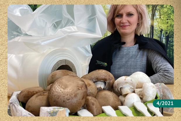 Funguschain - Rohstoff statt Abfall
